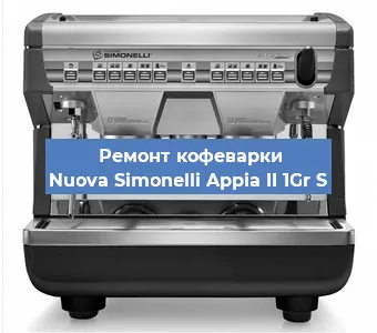 Ремонт кофемашины Nuova Simonelli Appia II 1Gr S в Красноярске
